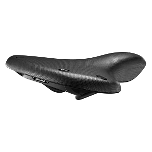 1Картинка Brooks Cambium C67 All Weather Black
