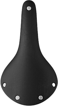 Brooks C17 Special Cambium